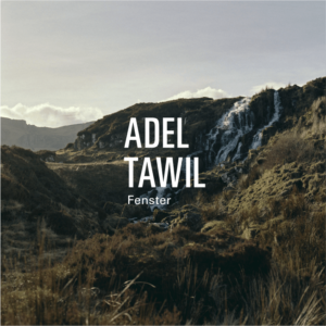 Adel Tawil Pop Musiker Songwriter Und Produzent